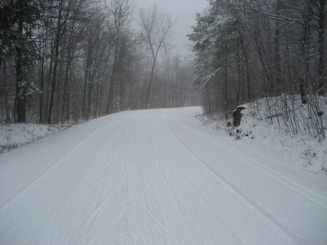 Gatineau Park Skiing Conditions