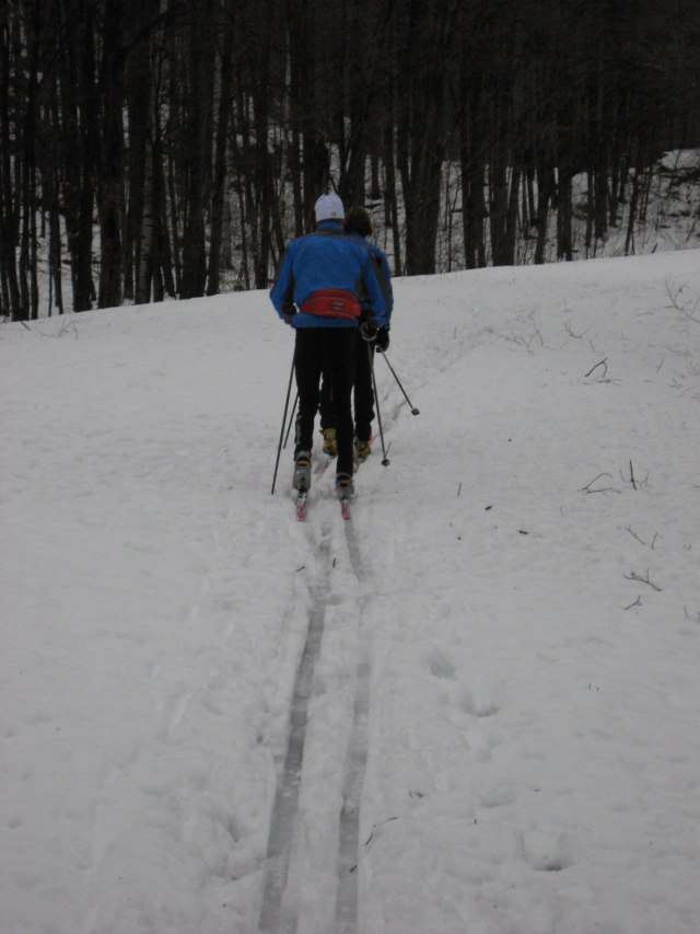Gatineau Park Skiing Conditions