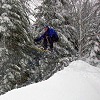 XC Ottawa tele skiing